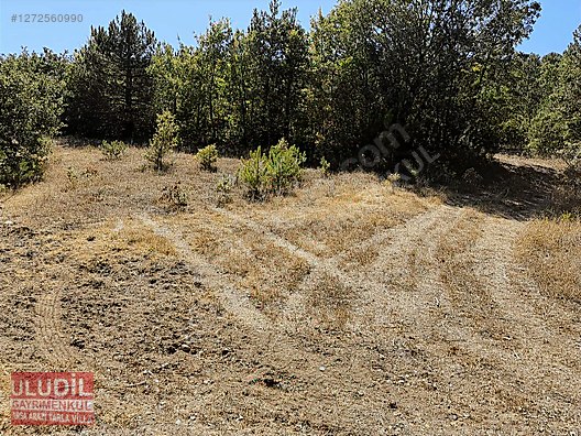 BİLECİK YENİPAZAR BATIBELENÖREN KÖYÜ SATILIK TARLA - BİLECİK YENİPAZAR fotoğraf 7