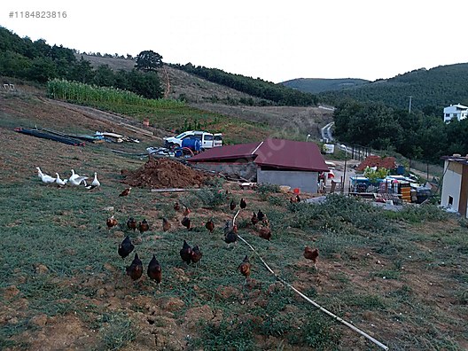 BURSA İZNİK BAYINDIR KÖYÜNDE 5.808 M² TARLA SATILIKTIR - BURSA İZNİK fotoğraf 4