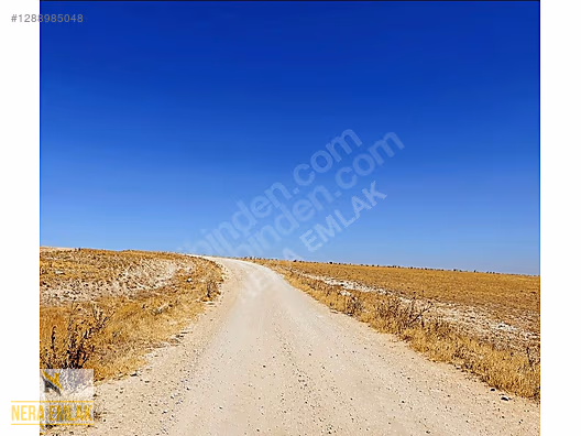 DEPOLAMAYERİ-HAYVANCILIK-ÇİFTLİK KURULUMUNA UYGNTEKTAPU 18.400m2 - KONYA CİHANBEYLİ fotoğraf 6