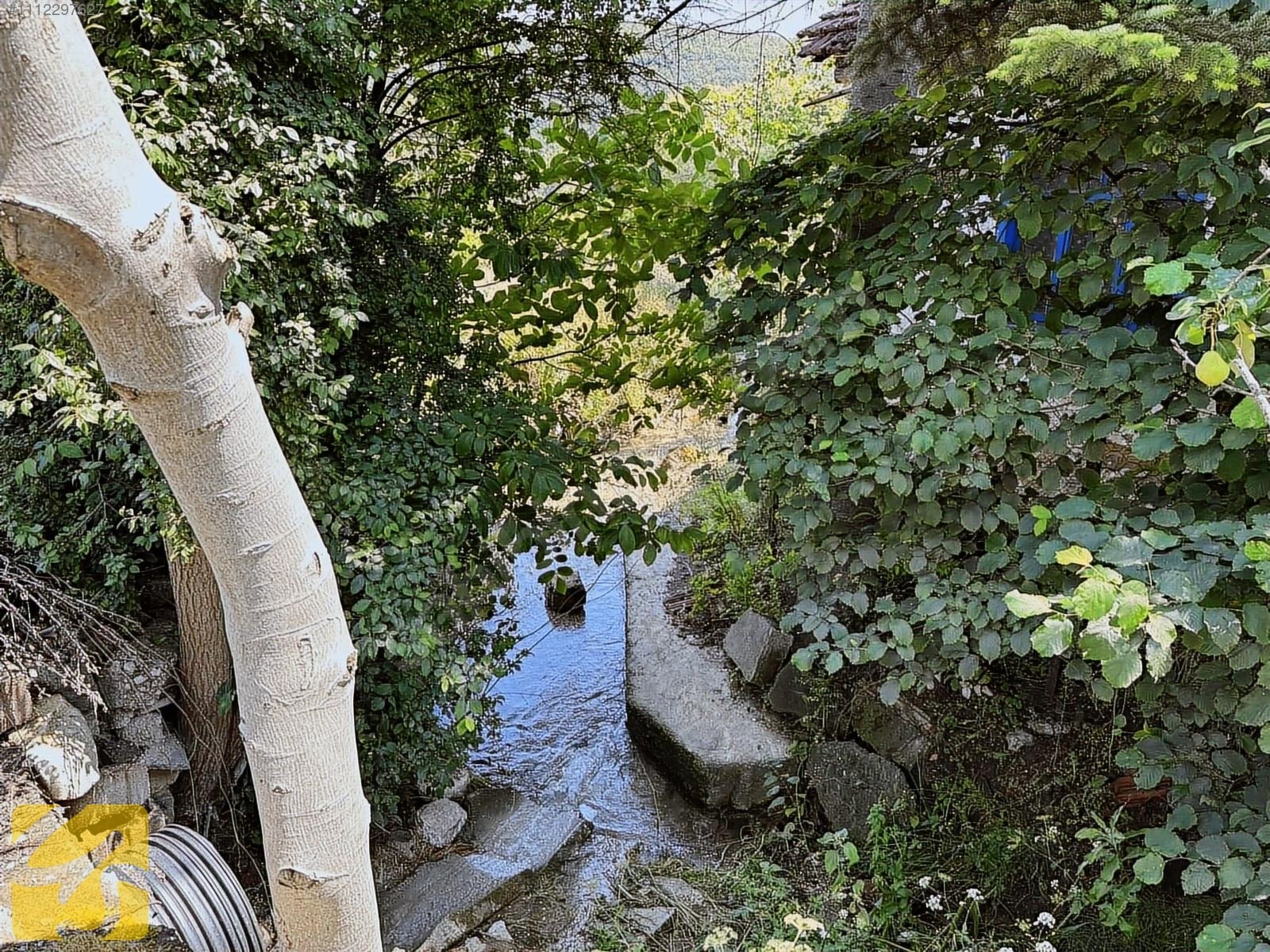 BOLU MERKEZ YUMURKAYA DA 2.900 METREKARE SATILIK TARLA - BOLU MERKEZ fotoğraf 8