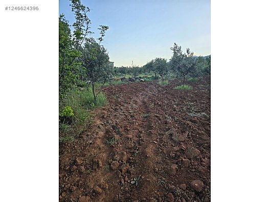 Satılık arsa Hatay Hassa küreci Mahallesi'nde tek tapu 2.000 M² - HATAY HASSA fotoğraf 4