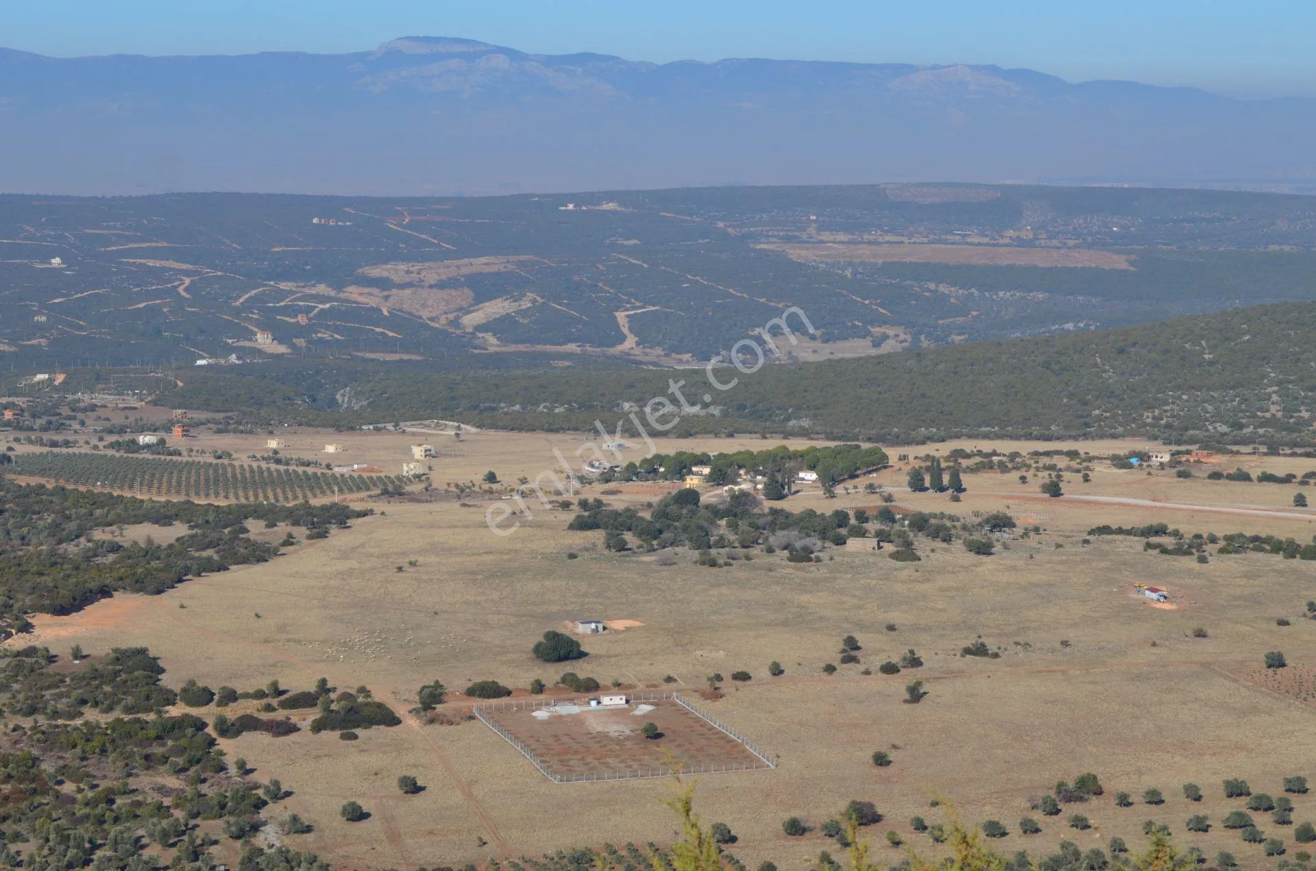 Didim Akyeniköy Balova Mevkiinde Yatırımlık Arsa - AYDIN DİDİM fotoğraf 4