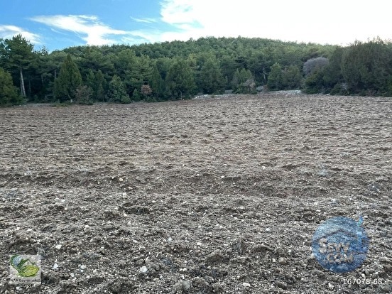 🚨 KÜTAHYA / AKÇAMESCİT'TE KÖYÜN ÜSTÜNDE 4.548 M² HARİKA ARAZİ 🚨 - KÜTAHYA MERKEZ fotoğraf 12