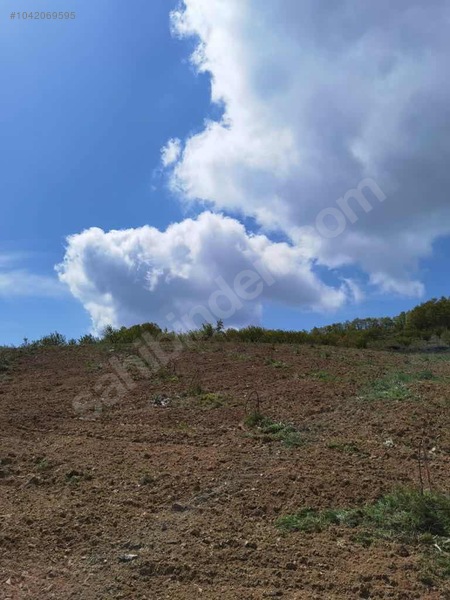 BURSA İZNİK TACİR KÖYÜNDE 13.056 M TARLA SATILIKTIR - BURSA İZNİK fotoğraf 10