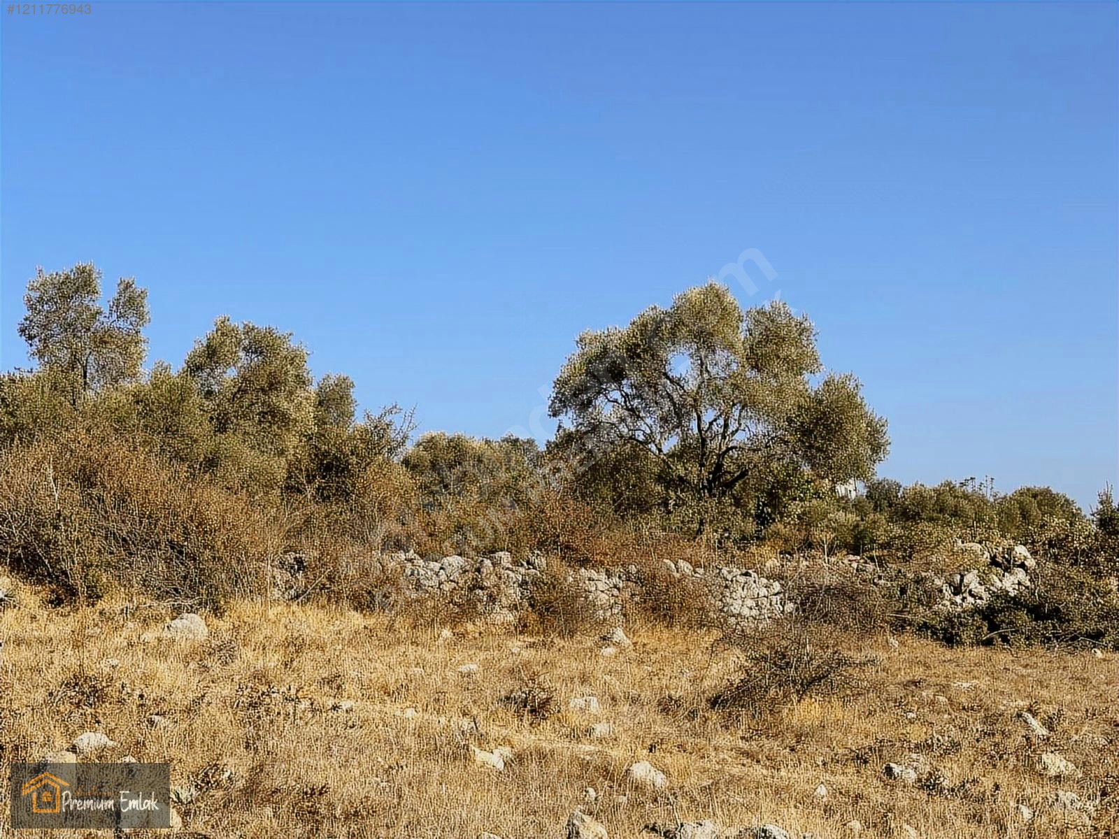 MİLAS KARACAHİSAR MAH.SU ELEKT YOLA SIFIR 10.754mt SATILIK TARLA - MUĞLA MİLAS fotoğraf 5