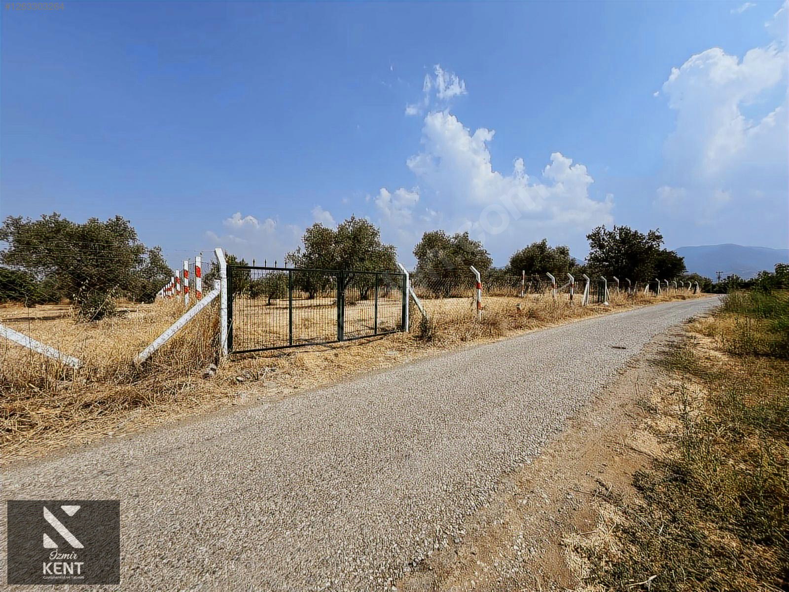 Kemalpaşa Bağyurdu Satılık 5650 m2 Bahçe - İZMİR KEMALPAŞA fotoğraf 15