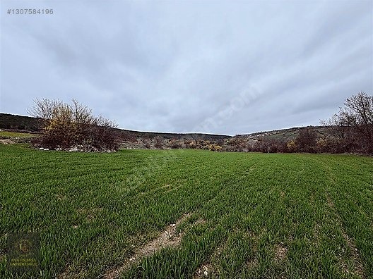 SAMSUN VEZİRKÖPRÜ ÇAMLIDERE'DE 6.670 M2 UYGUN ARSA - SAMSUN VEZİRKÖPRÜ fotoğraf 13