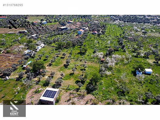 Kemalpaşa Armutlu Satılık Arazi 4.000 m2 - İZMİR KEMALPAŞA fotoğraf 24
