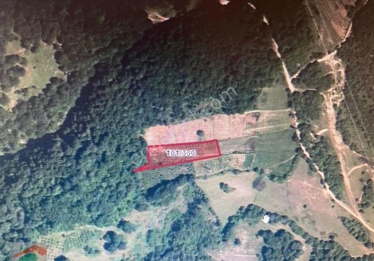 Yeşilkale Köyü, 3.541 M2 Fındıklık - BARTIN MERKEZ fotoğraf 2