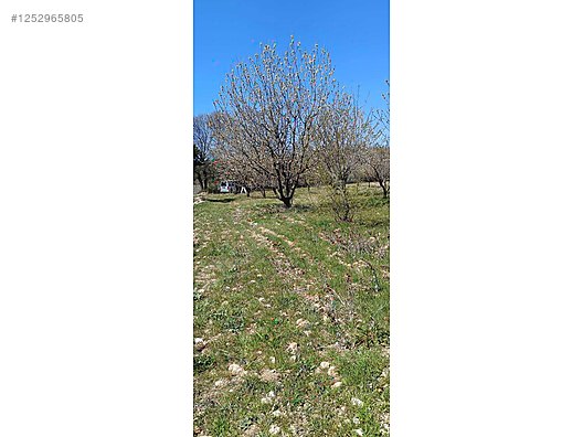 BURSA KELES MENTEŞE KÖYÜNDE  6.297  M² BAĞ SATILIKTIR - BURSA KELES fotoğraf 6