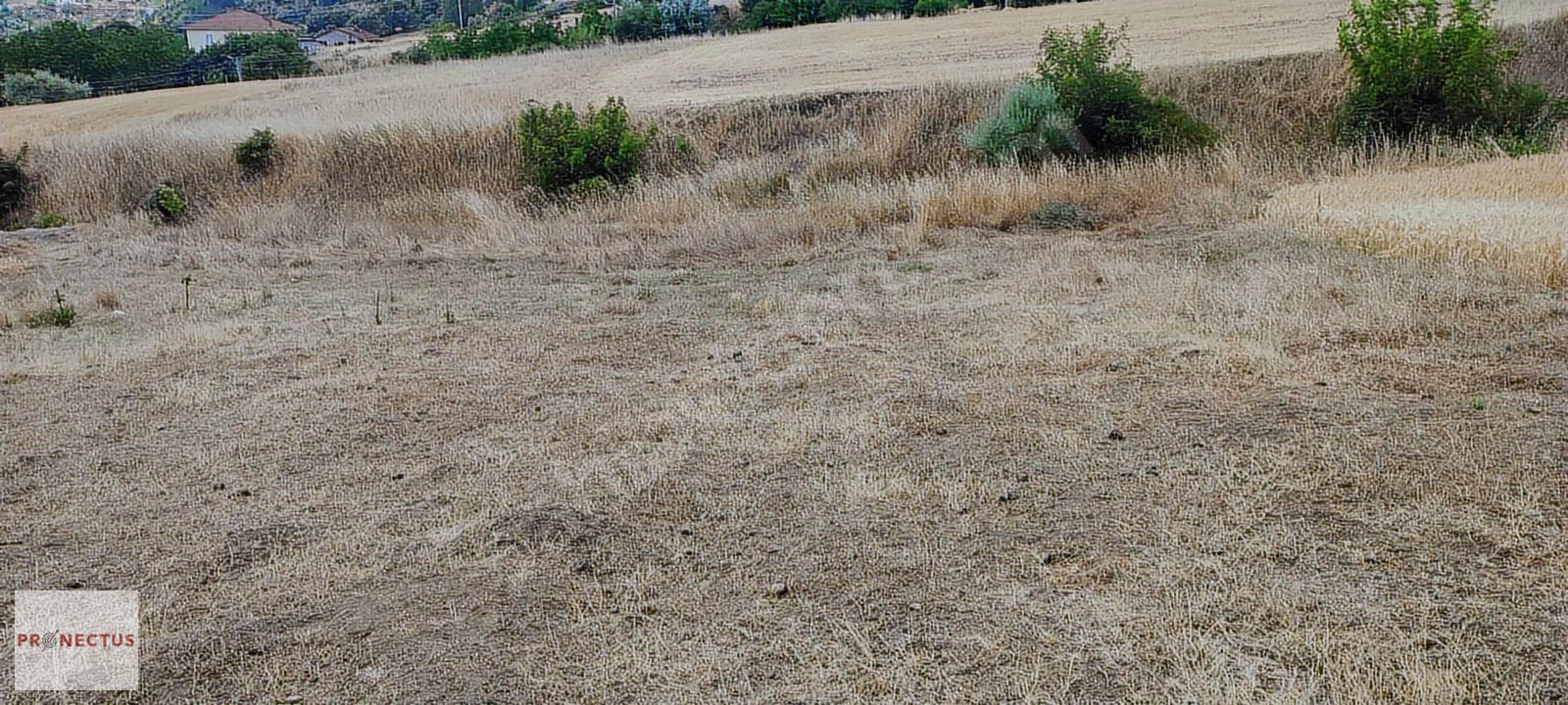 KIZDERBENT MAH. 588 M2 KONUT İMARLI ARSA - KOCAELİ KARAMÜRSEL fotoğraf 8