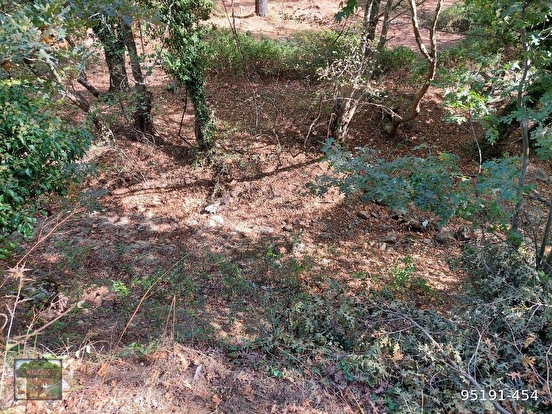 BERGAMA KOZAK KARAVELİLER MAH DE 2100 M2 FISTIKLIK - İZMİR BERGAMA fotoğraf 9