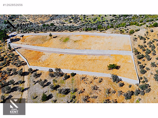 Kemalpaşa Ansızca Satılık 1406 m2 Bahçe - İZMİR KEMALPAŞA fotoğraf 31