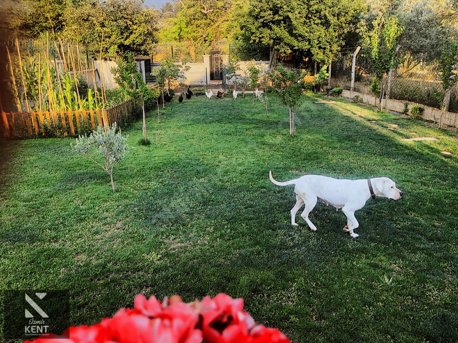 Kemalpaşa Yukarıkızılca Satılık 3+1 Havuzlu 130 m2 Villa - İZMİR KEMALPAŞA fotoğraf 28