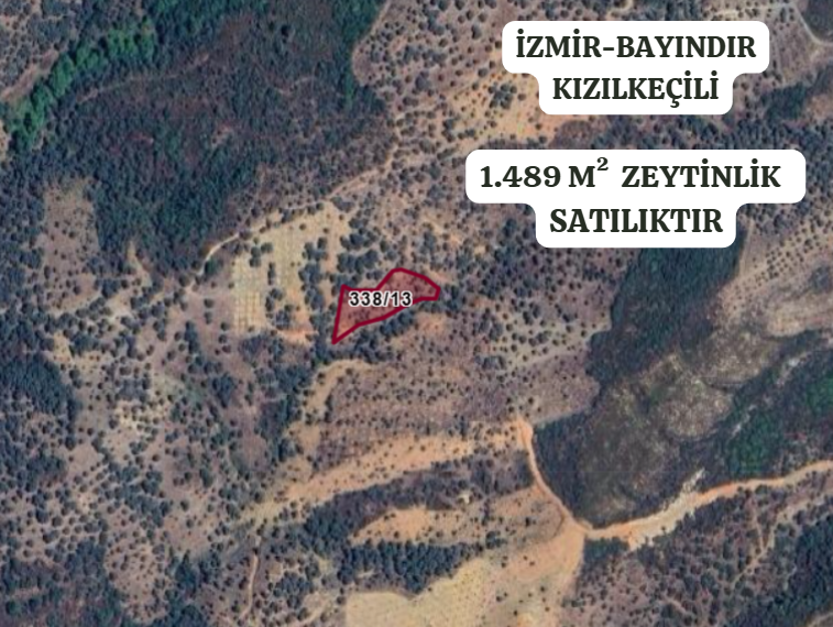 İZMİR BAYINDIR KIZILKEÇİLİ  KÖYÜNDE 1.489  M² ZEYTİNLİK  SATILIKTIR - İZMİR BAYINDIR fotoğraf 2