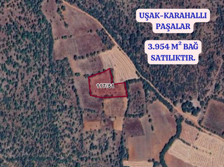 UŞAK KARAHALLI PAŞALAR  KÖYÜNDE 3.954  M²  BAĞ  SATILIKTIR  - UŞAK KARAHALLI fotoğraf 2