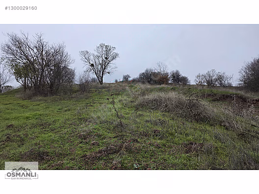RESMİ YOLLU 800 M2 MANZARALI HOBİ BAHÇESİ - BİLECİK GÖLPAZARI fotoğraf 10