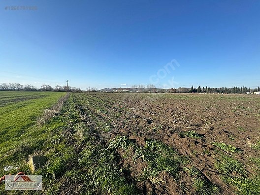 KAVAKLI ÇİFT TARAFI YOL 5.125 M2 YATIRIMLIK ARAZİ - BURSA MUSTAFAKEMALPAŞA fotoğraf 2