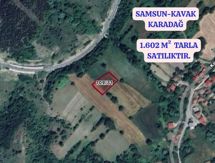    SAMSUN KAVAK KARADAĞ   KÖYÜNDE 1.602  M²  TARLA SATILIKTIR - SAMSUN KAVAK fotoğraf 2