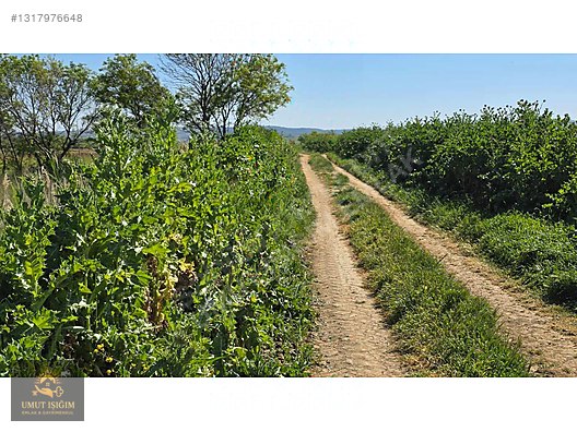 Erikli Köyü'nde Göl ve Deniz Manzaralı, 7400m² Tek Tapu Arsa - EDİRNE KEŞAN fotoğraf 7
