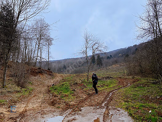 Gölcük İrşadiyede Eriklitepe Yatırımlık Arsa - KOCAELİ GÖLCÜK fotoğraf 12