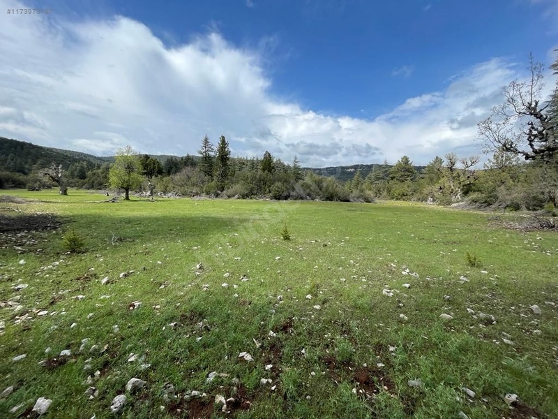 Antalya  Kaş  Hacıoğlan Mahallesinde 500 m² SATILIK ARSA  - ANTALYA KAŞ fotoğraf 5