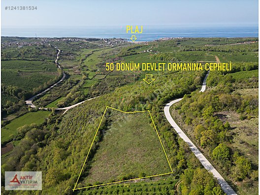 BAĞIRGANLI'DA VADİ MANZARALI BÜYÜK ORMANA CEPHELİ 10 DÖNÜM TARLA - KOCAELİ KANDIRA fotoğraf 20