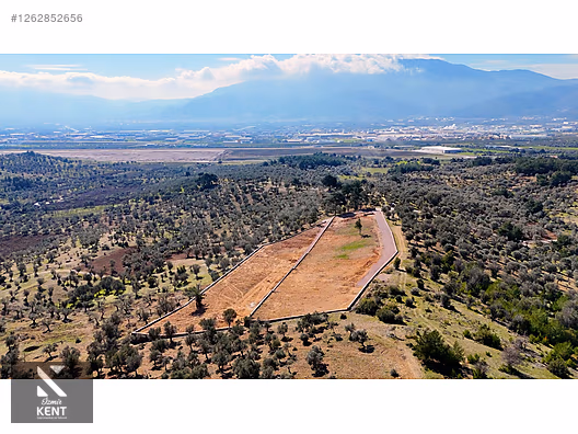 Kemalpaşa Ansızca Satılık 1406 m2 Bahçe - İZMİR KEMALPAŞA fotoğraf 23