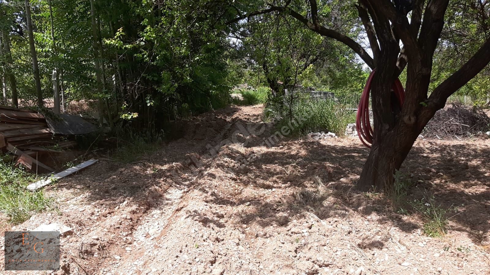 EMTİA'DAN DİLEK MERKEZ'DE SATILIK KAYSI BAHÇESİ - MALATYA YEŞİLYURT fotoğraf 15