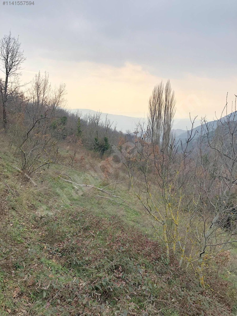 ŞAHİNYURDUNDA KÖY İÇİNDE ARSA - BURSA GEMLİK fotoğraf 17