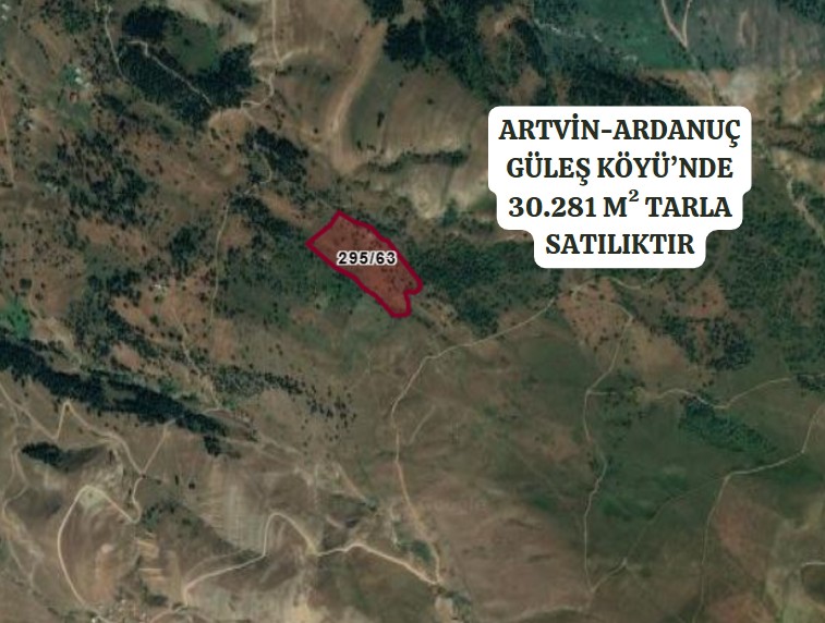 ARTVİN ARDANUÇ GÜLEŞ  KÖYÜ’NDE 30.281 M² TARLA SATILIKTIR - ARTVİN ARDANUÇ fotoğraf 2