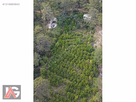 Doğanın İçinde, Deniz Gören, Elektrik ve Suyu Hazır Fırsat Arazi - ANTALYA KUMLUCA fotoğraf 19