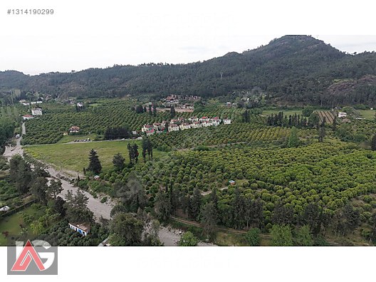 Kemer Kuzderede Yatırımlık & Verimli 15 Dönüm Narenciye Bahçesi - ANTALYA KEMER fotoğraf 4