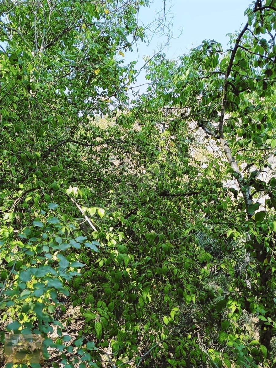 Kemer belenlide kòyiçi arsa bahçe suyu sınırsız sulama - BURDUR KEMER fotoğraf 10