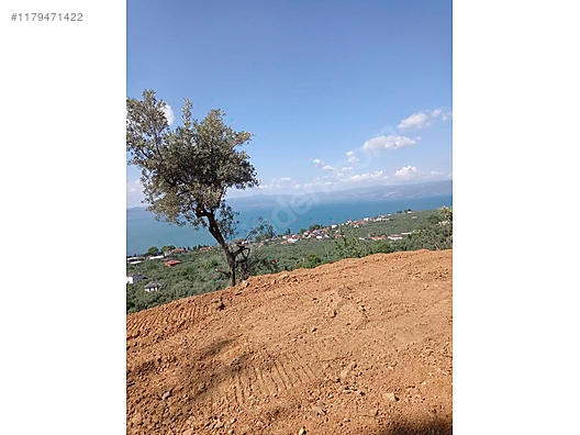 BURSA İZNİK YÖRÜKLER KÖYÜNDE 6.068 M TARLA SATILIKTIR - BURSA İZNİK fotoğraf 8