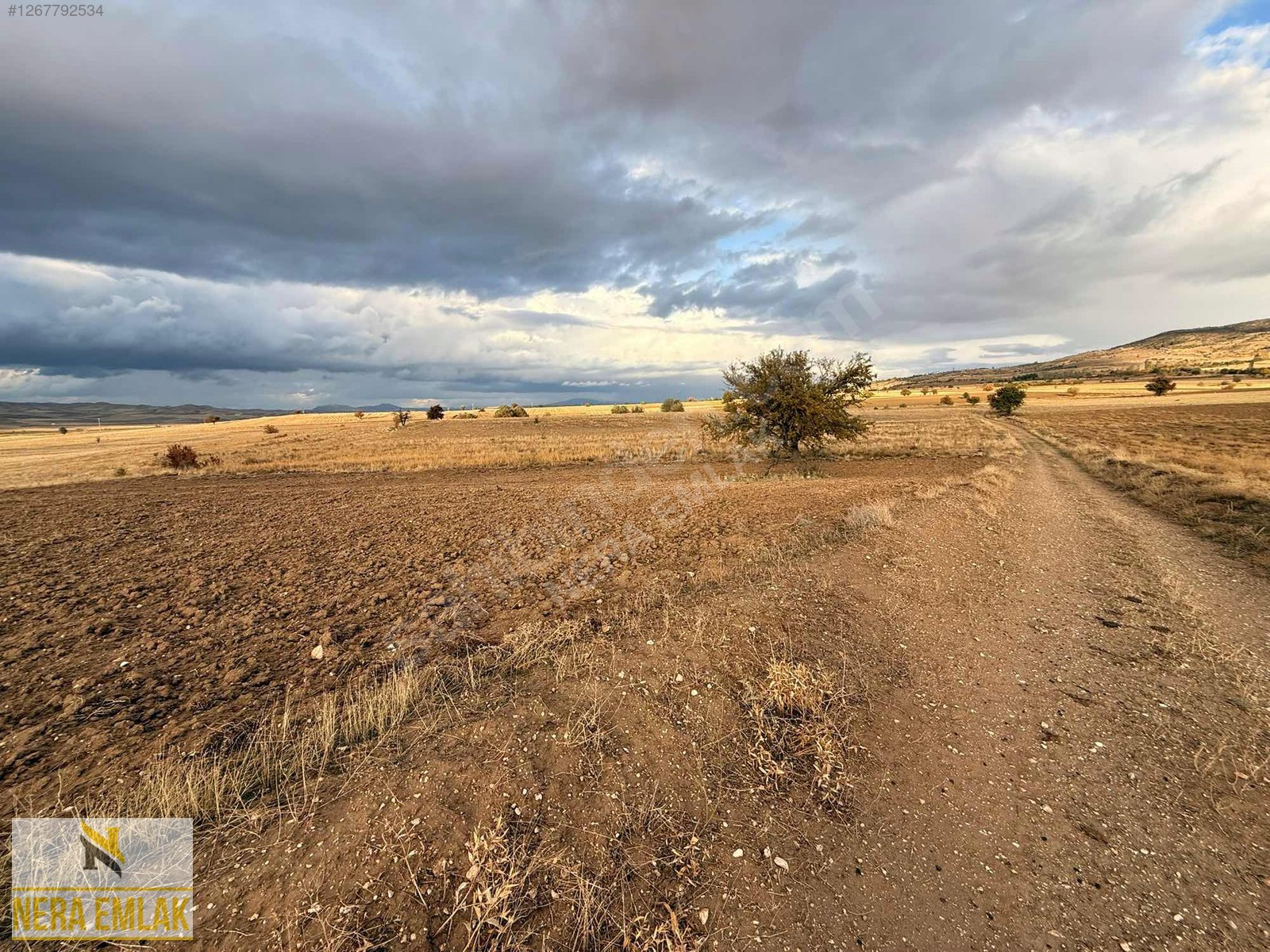 KEMER'E YAKIN KADASTRO YOLLU TEK TAPU EV-ÇİFTLİK YAPIMINA UYGUN - BURDUR KEMER fotoğraf 12