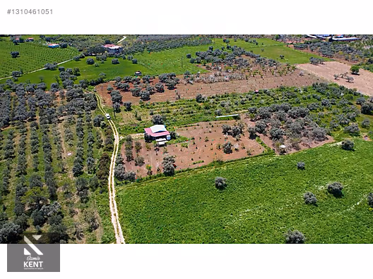 Kemalpaşa Halilbeylide Satılık 3000 m2 Bahçe 40 m2 Ev - İZMİR KEMALPAŞA fotoğraf 30