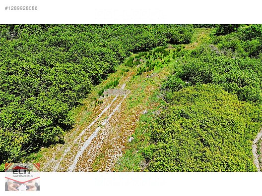 SAKARYA KARASU'DA SATILIK FRSAT KÖY İÇİNDE 635 metre² KUPON ARSA - SAKARYA KARASU fotoğraf 35