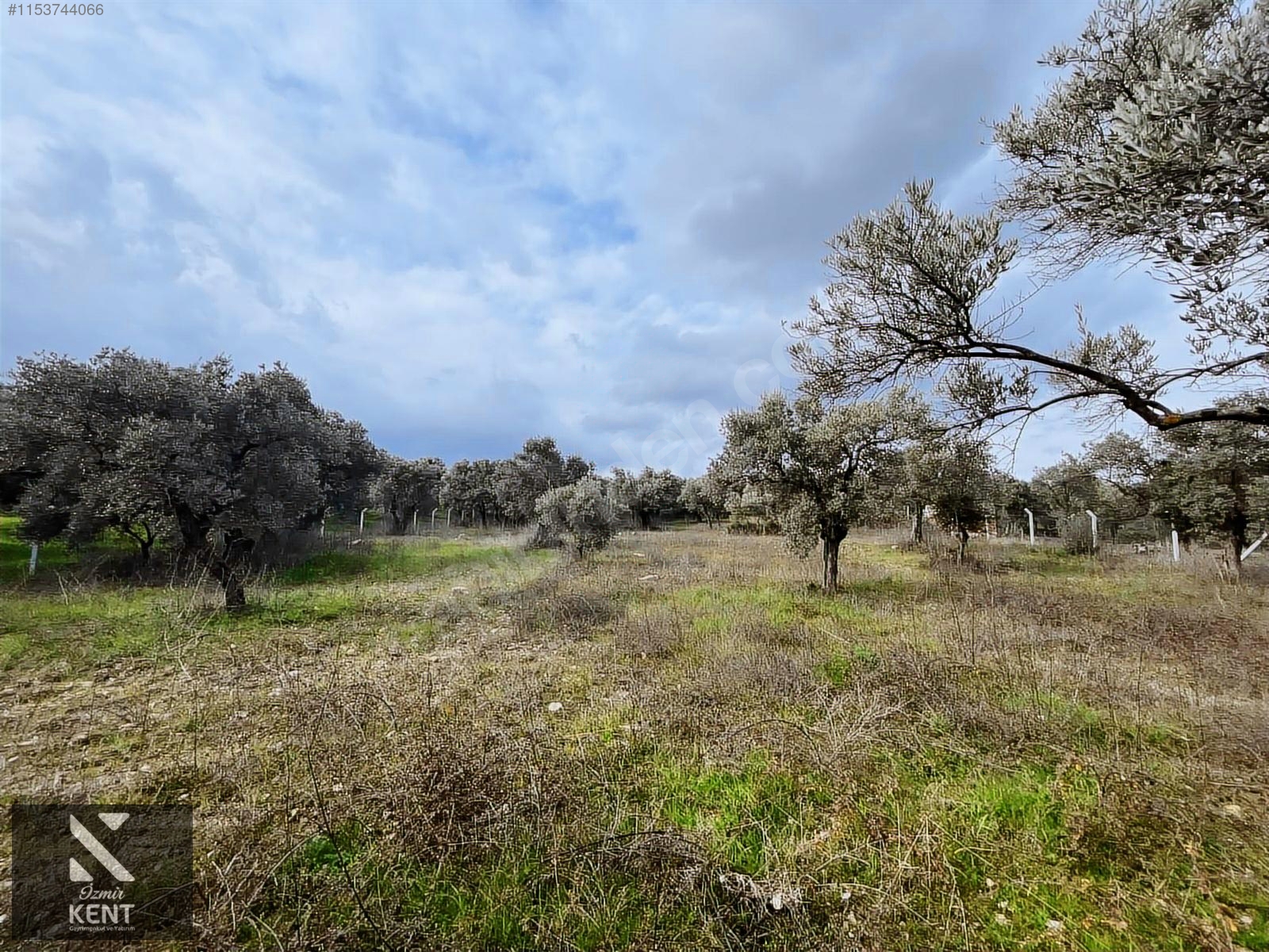 Kemalpaşa Gökyaka Satılık 2700 m2 Bahçe - İZMİR KEMALPAŞA fotoğraf 8
