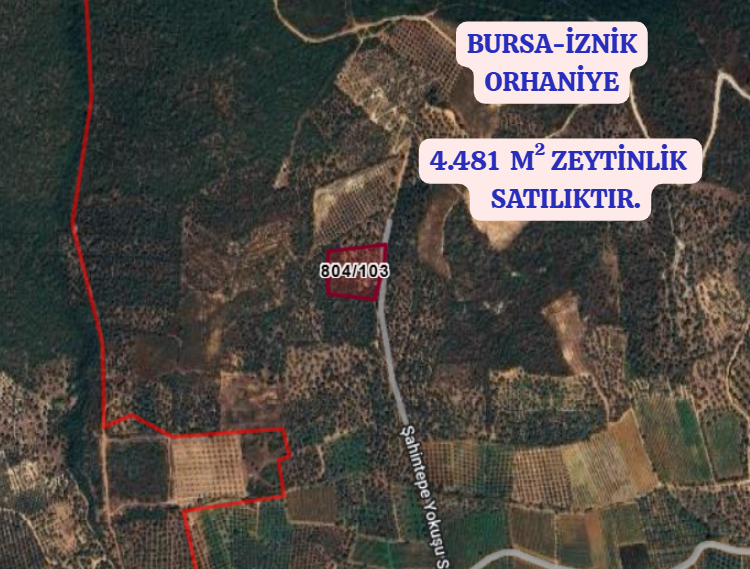 BURSA İZNİK ORHANİYE  KÖYÜNDE  4.481  M² ZEYTİNLİK SATILIKTIR. - BURSA İZNİK fotoğraf 2