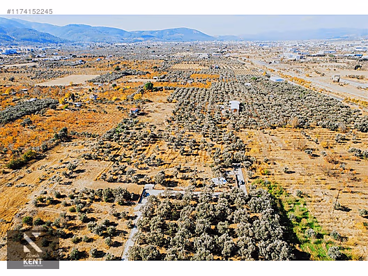 Kemalpaşa Sekiz Eylül Merkeze Yakın Satılık 3440 m2 Zeytinlik - İZMİR KEMALPAŞA fotoğraf 31