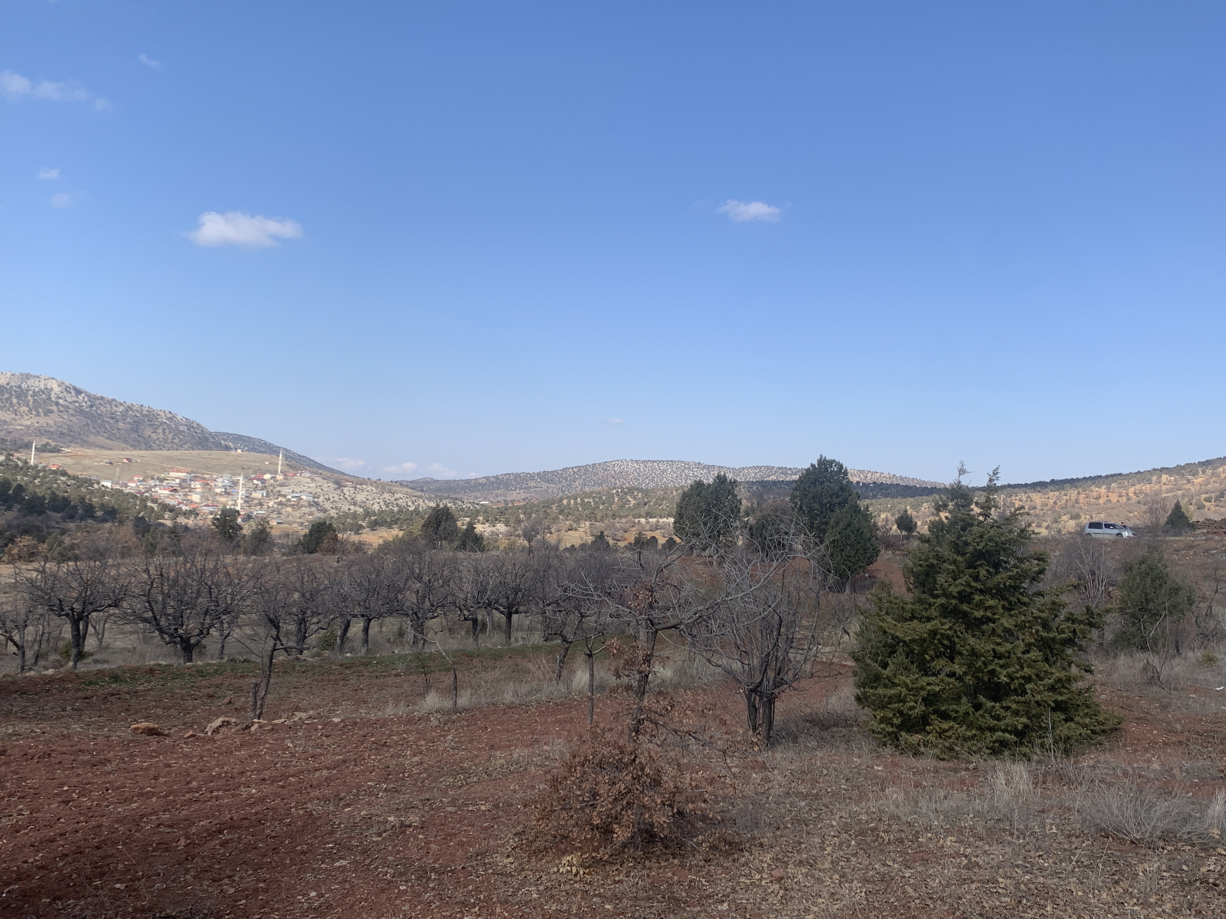KONYA BOZKIR HACILAR KÖYÜNDE 39M² TARLAMIZ SATILIKTIR. - KONYA BOZKIR fotoğraf 7