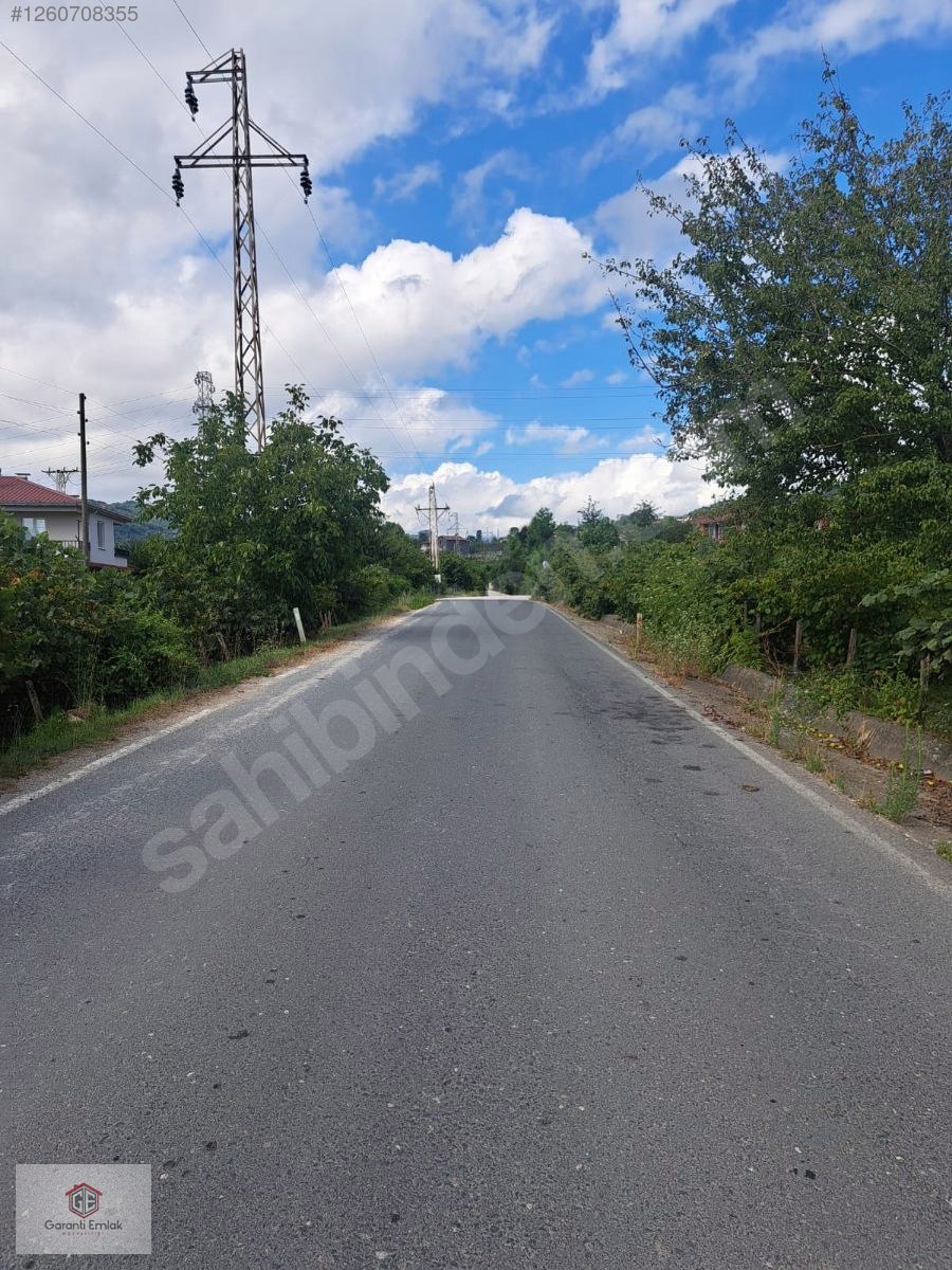 EFİRLİDE YOLA SIFIR SATILIK 2 DÖNÜM ARSA - ORDU PERŞEMBE fotoğraf 5