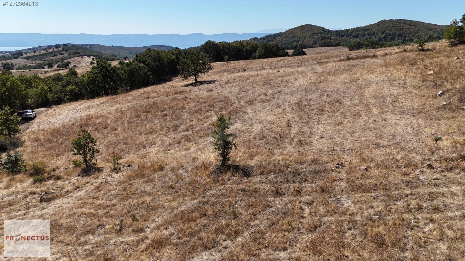 FULACIK MAH. RESMİ YOLA CEPHE GÖL MANZARALI 4985 M2 SATILIK ARSA - KOCAELİ KARAMÜRSEL fotoğraf 7