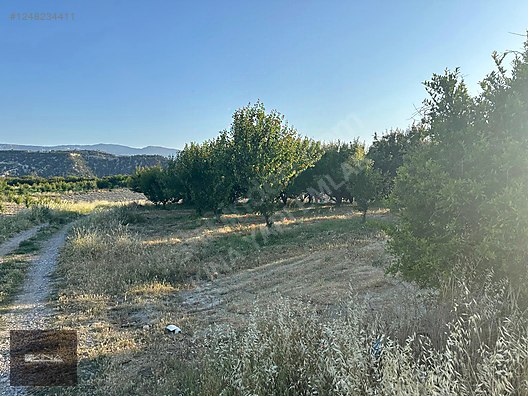 MUT - SİLİFKE KARAYOLUNA 250 M MESAFEDE SATILIK BAHÇE - MERSİN MUT fotoğraf 18