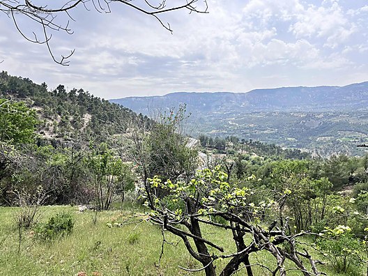   Karaman / Ermenek / Yalındal Köyü 809M² BAHÇE SATILIKTIR.  - KARAMAN ERMENEK fotoğraf 11