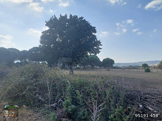 BERGAMA KOZAK HACIHAMZALAR MAH DE 10500 M2 TARIM İMARLI TARLA ÖNÜ PARSEL YOL ELE - İZMİR BERGAMA fotoğraf 4