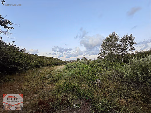 SAKARYA KARASU'DA SATILIK FRSAT KÖY İÇİNDE 635 metre² KUPON ARSA - SAKARYA KARASU fotoğraf 23
