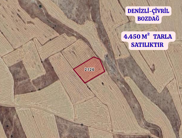 DENİZLİ ÇİVRİL BOZDAĞ   KÖYÜNDE  4.450 M²  TARLA  SATILIKTIR - DENİZLİ ÇİVRİL fotoğraf 2