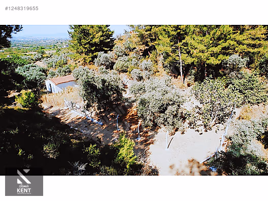 Kemalpaşa Armutlu Satılık 300 m2 Bahçe Tek Tapu - İZMİR KEMALPAŞA fotoğraf 27